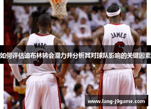 如何评估迪布林转会潜力并分析其对球队影响的关键因素